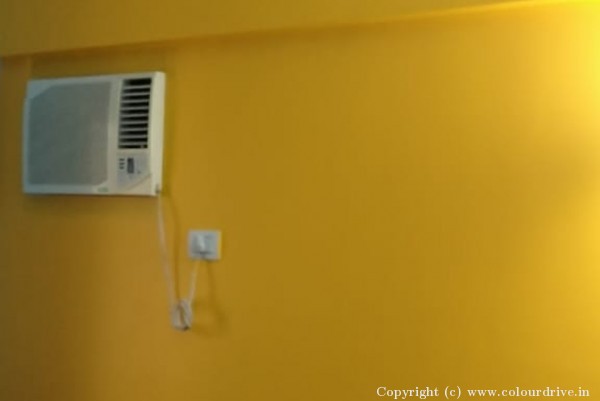 Interior Painting, and Home Painting Recent Project at Kalyan West Mumbai
