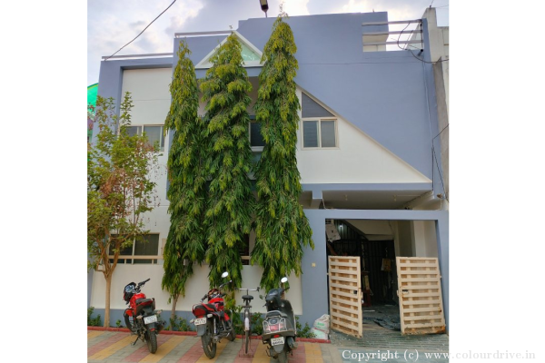 Exterior Painting, Interior Painting, and Home Painting Recent Project at Chhota Bangarda, Vidhya Nagar Indore