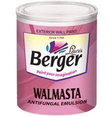 Berger Walmasta for Exterior Painting : ColourDrive