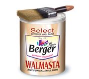 Berger Wallmasta for Exterior Painting : ColourDrive